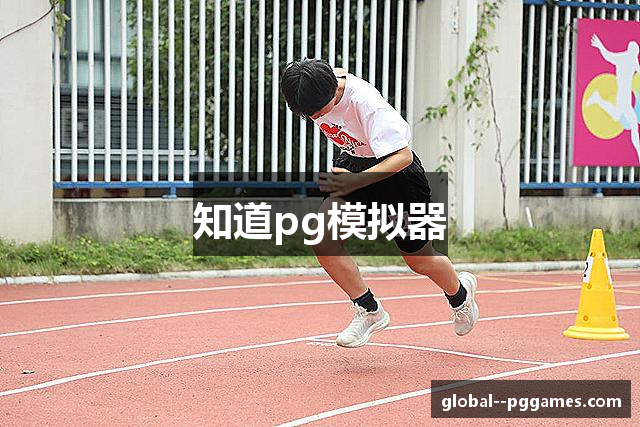 知道pg模拟器
